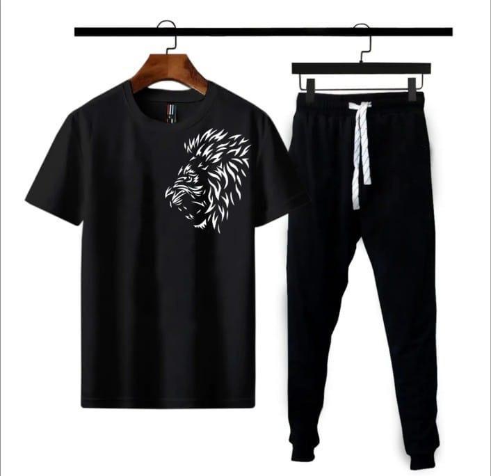 2 Pcs Men's Polyester Dri Fit Printed Track Suit